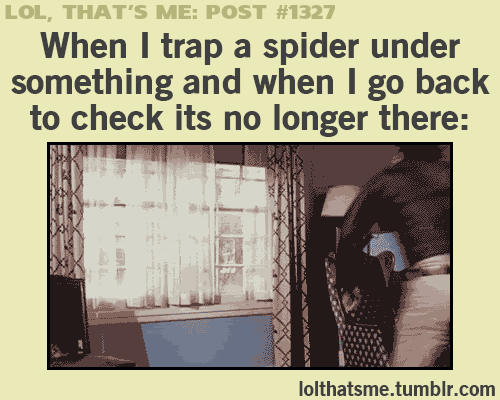 Spiders+need+to+find+their+own+house%21