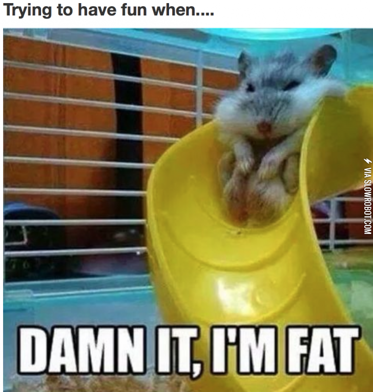 Trying+to+have+fun+when%26%238230%3B