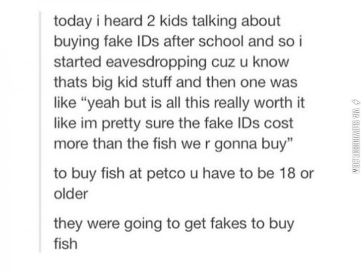 Why+I+need+a+fake+ID.