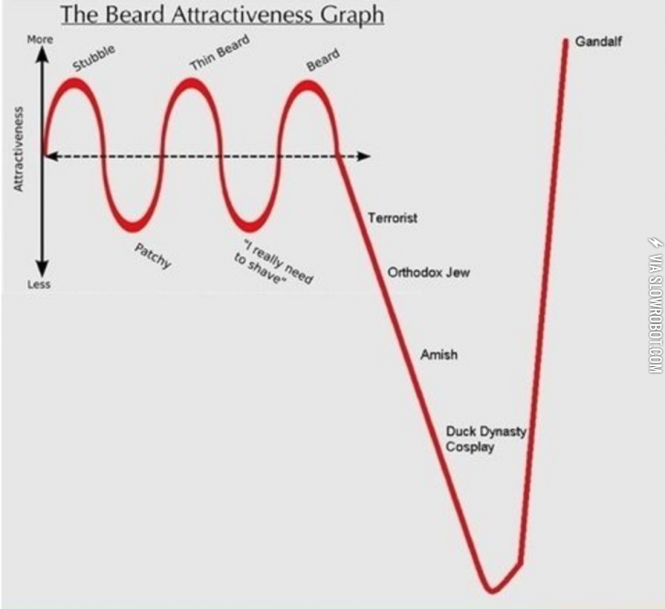 The+beard+attractiveness+graph.