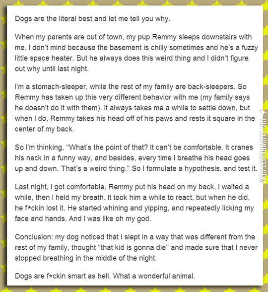 Dogs+Are+The+Best+And+Here%26%238217%3Bs+Why
