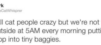 They+call+cat+people+crazy%26%238230%3B