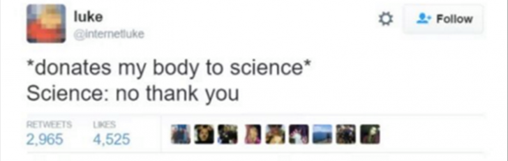 No+thank+you%26%238230%3B