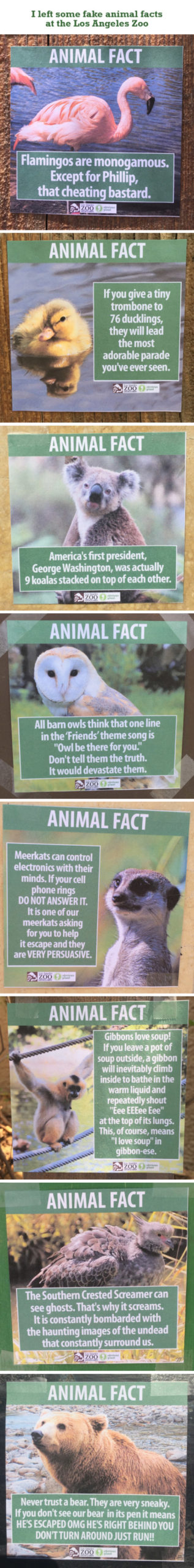 Animal+Facts