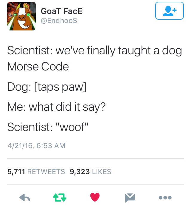 We%26%238217%3Bve+finally+taught+a+dog+Morse+Code