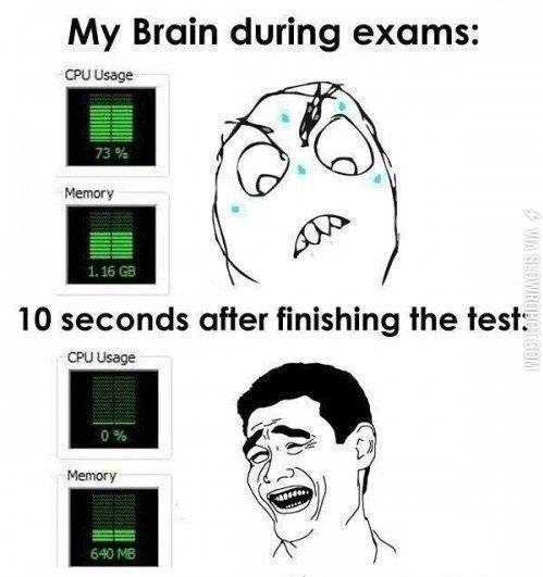 My+brain+during+exams.