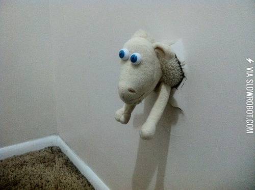 How+my+mom+fixes+a+hole+in+the+wall.