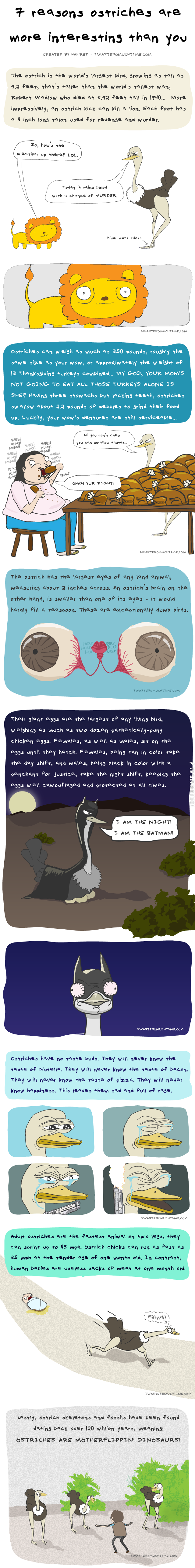 7+Reasons+Ostriches+Are+More+Interesting+Than+You