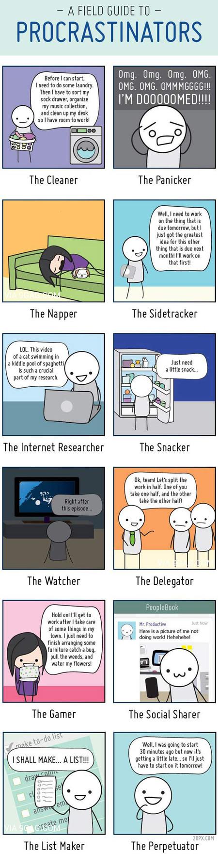 A+Field+Guide+To+Procrastinators