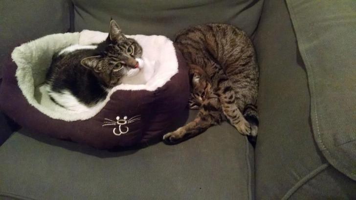 First+class+vs+coach