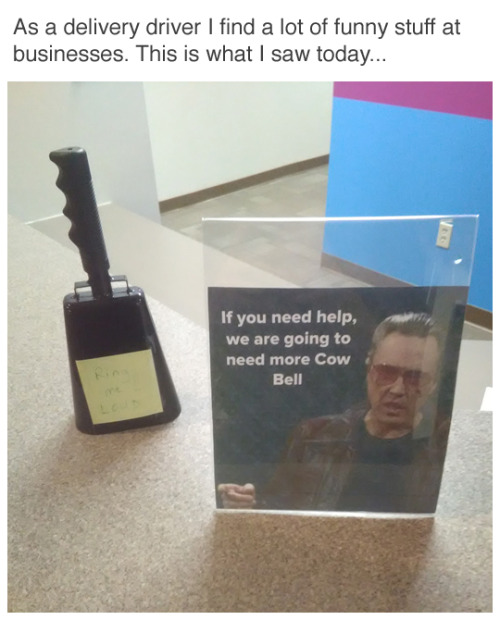 We+are+going+to+need+more+cow+bell