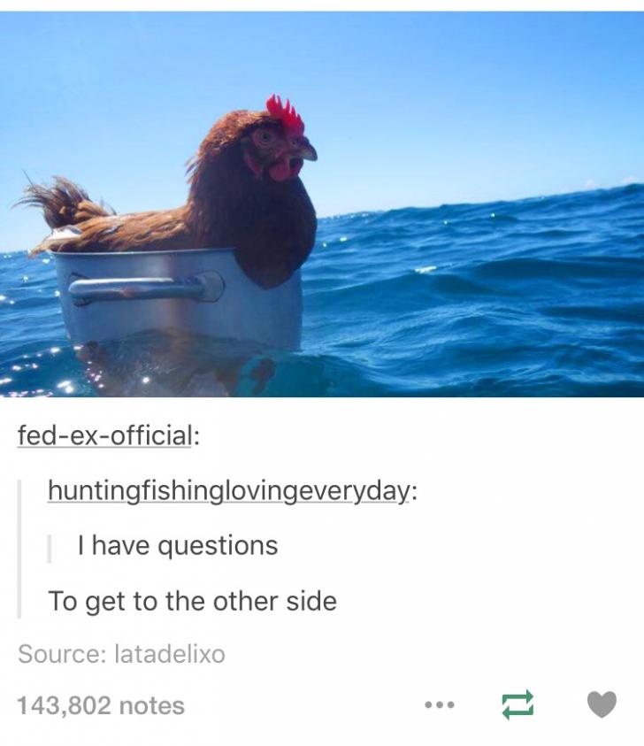 To+get+to+the+other+side