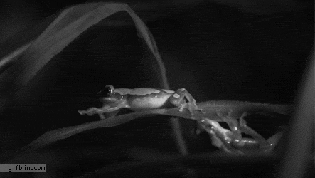 whatta+KICK%21%21%21