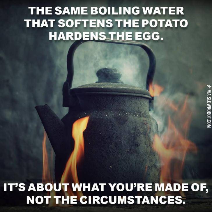 What+are+you+made+of%3F