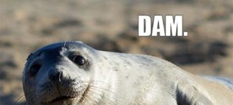 Seal+jokes%26%238230%3B