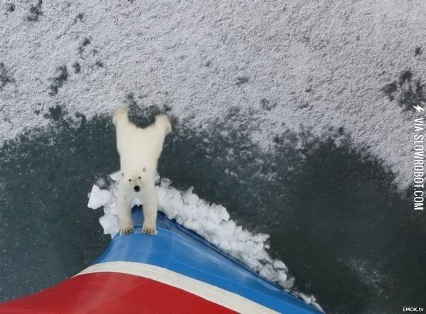 You+shall+not+pass%21