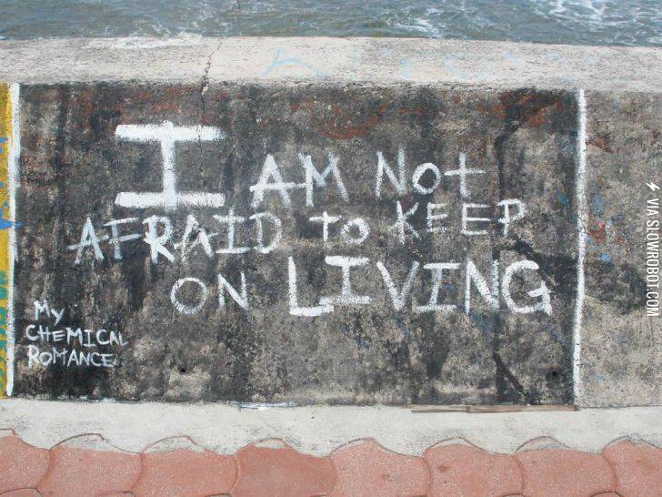 MCR+fans%2C+unite%21