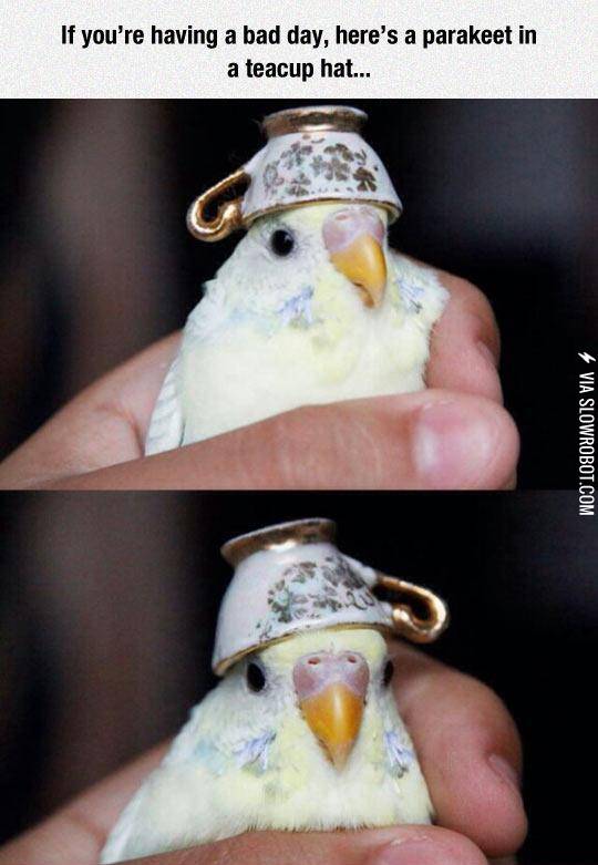 This+Guy+Always+Cheers+Me+Up