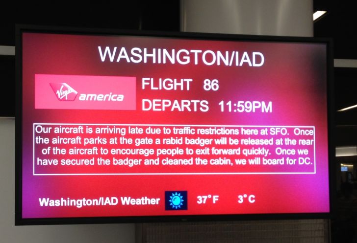 Why+Virgin+America+is+my+favorite+airline.