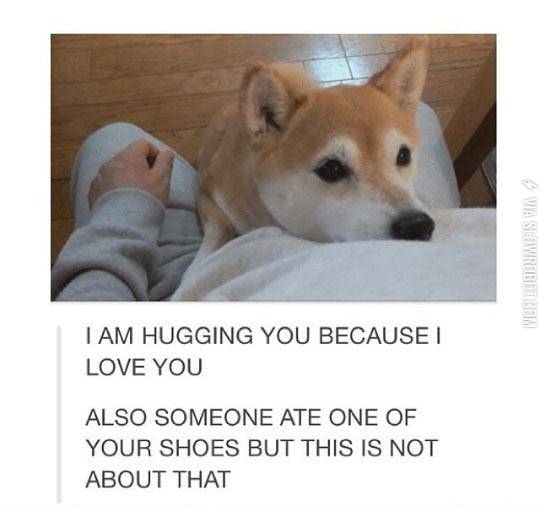 This+Is+An+Honest+Hug