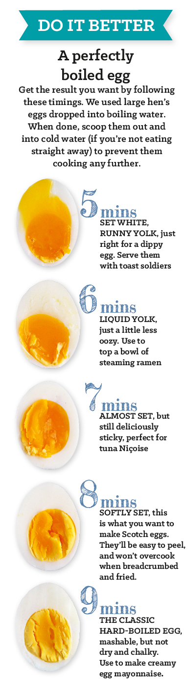 Boil+the+perfect+egg