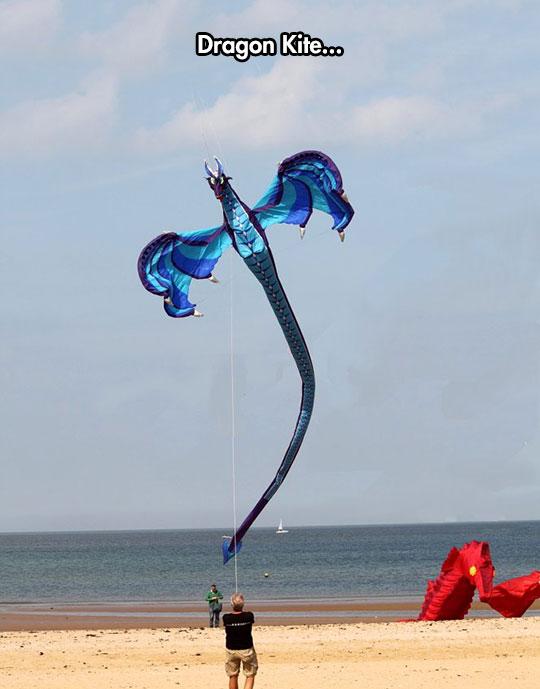 Dragon+kite+rules+the+seven+kingdoms