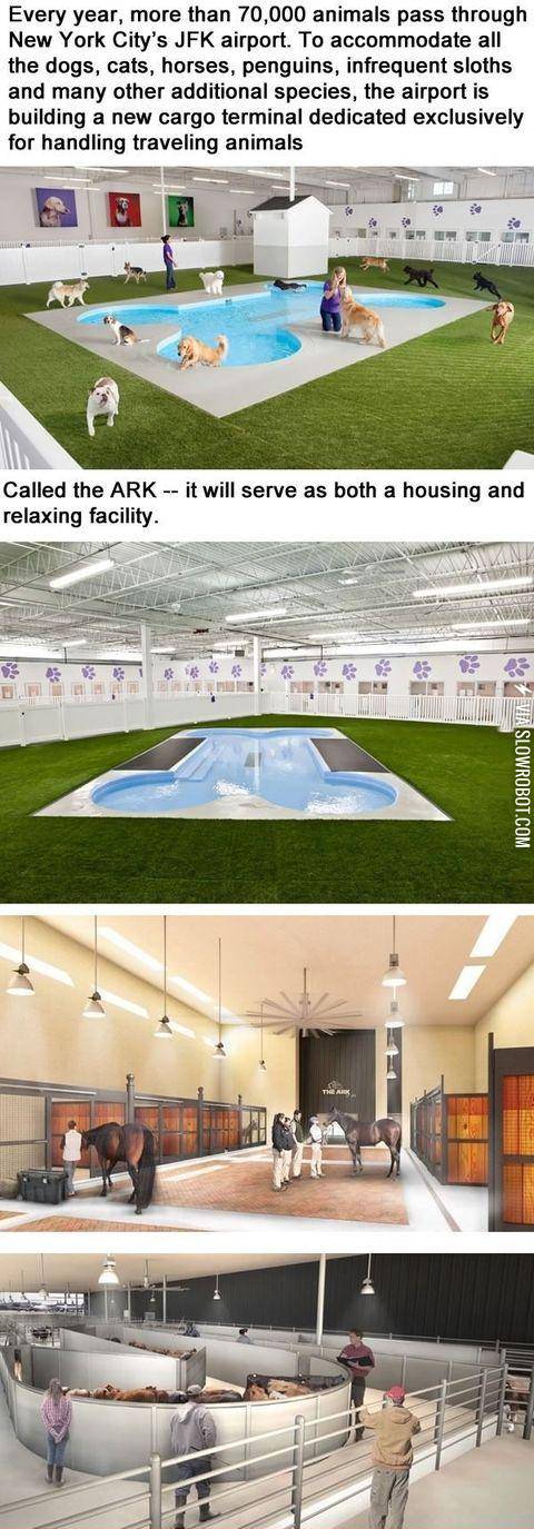 New+York+City%26%23039%3Bs+JFK+Airport+Is+Building+A+New+Terminal%26%238230%3B+For+Animals