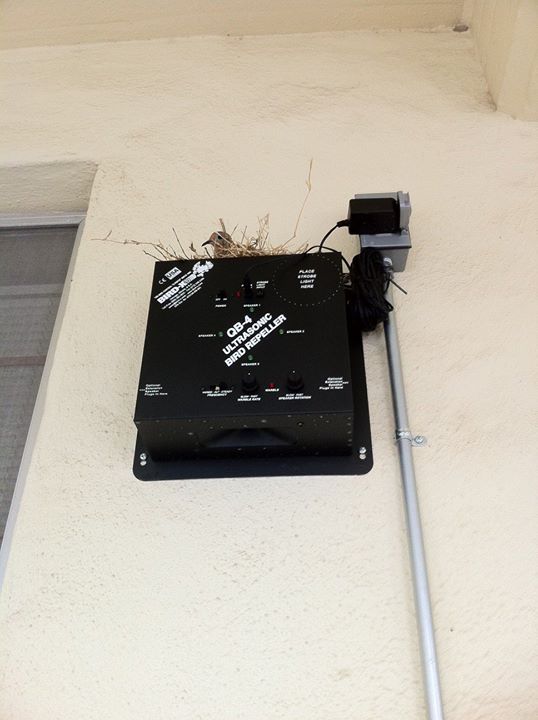 Well+that+worked+perfectly