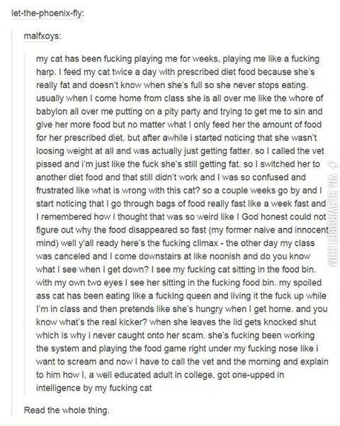 tldr%3B+cats+are+jerks