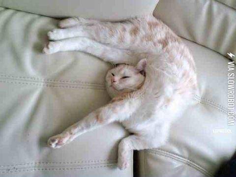 I+mean%2C+whatever%26%23039%3Bs+comfortable