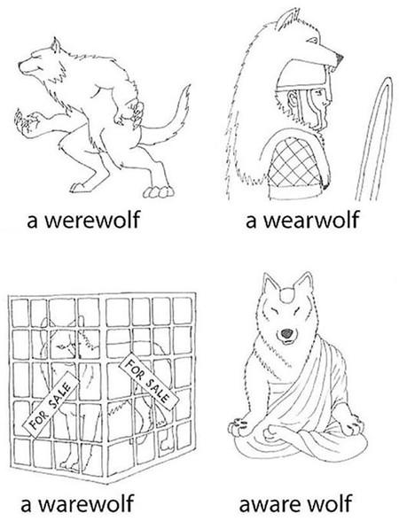 Various+types+of+wolf.
