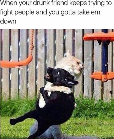 When+Your+Drunk+Friend+Keeps+Trying+To+Fight%26%238230%3B