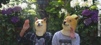 Doge+Brotherhood+Assemble