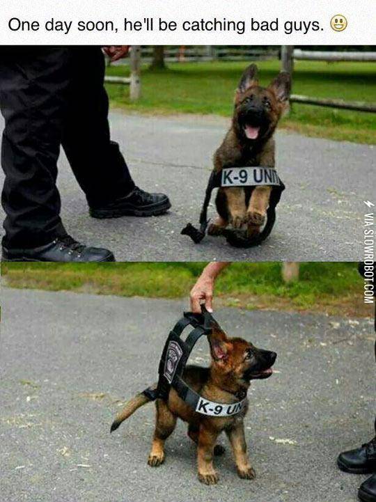 Cutest+Police+Officer+Ever
