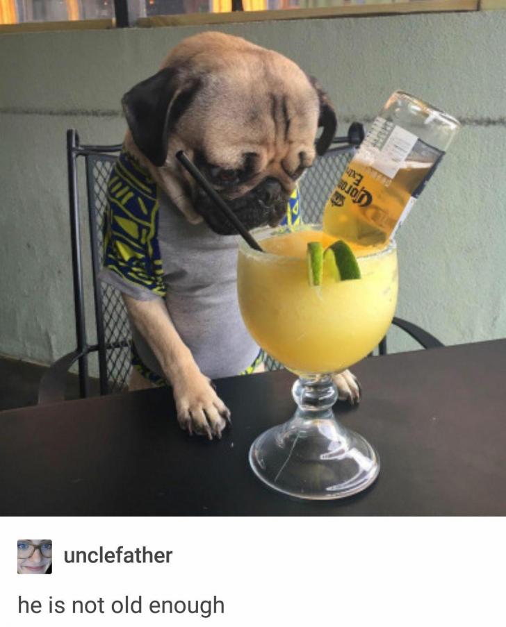 raise+a+glass+in+his+honor%3F