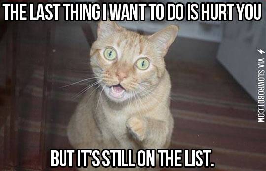 Cat%26%238217%3Bs+are+jerks.