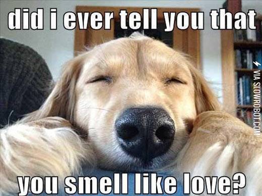 You+smell+like+love.