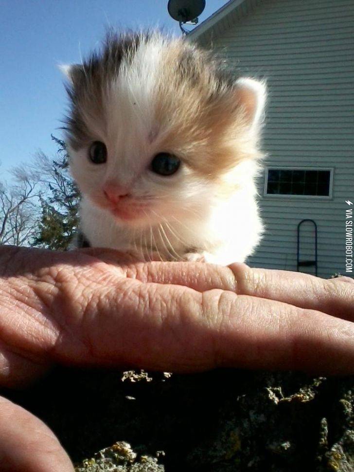 It%26%238217%3Bs+so+fluffy%21