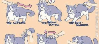 Ways+to+pet+your+cat.