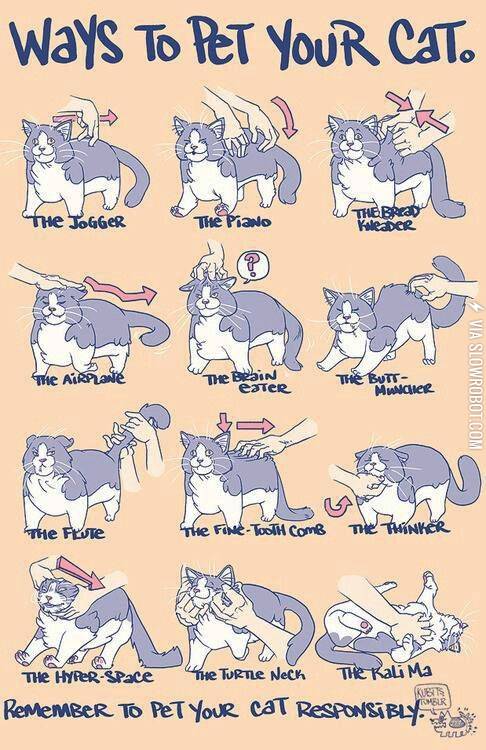 Ways+to+pet+your+cat.