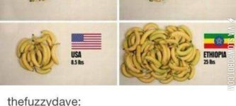 How+many+Bananas+can+%245+buy