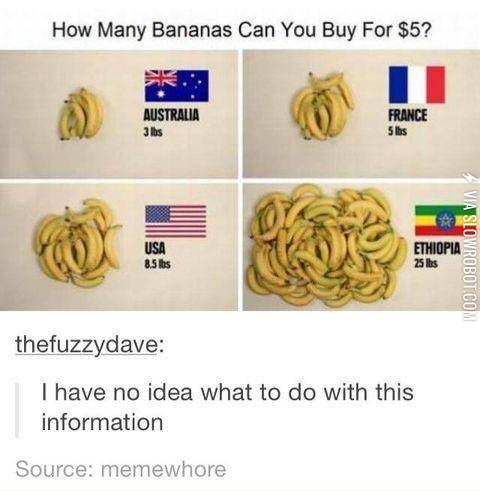 How+many+Bananas+can+%245+buy