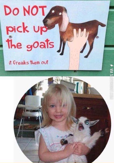 Put+me+down+little+human