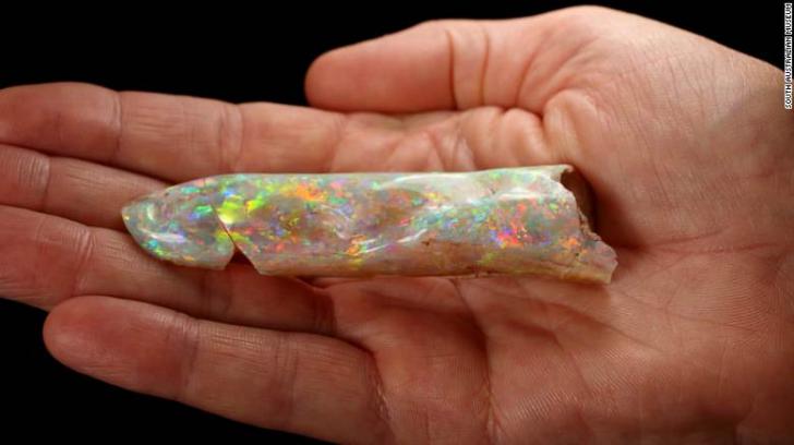 The+south+australian+museum+has+one+of+the+world%26%238217%3Bs+largest+opal
