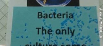 Bacteria%26%238230%3B