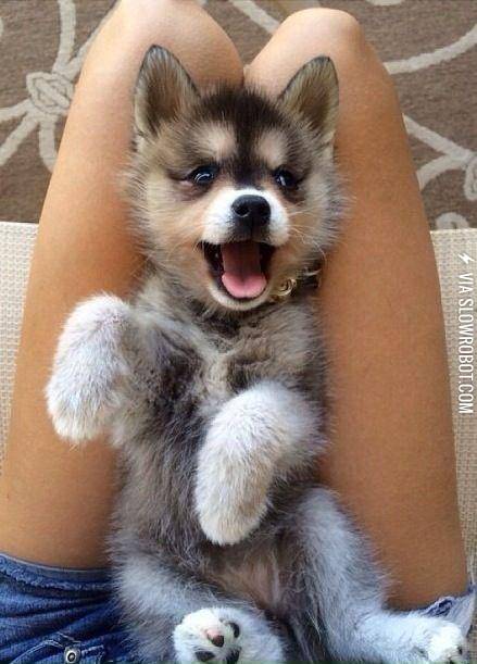 Tummy+tickles+is+happiness