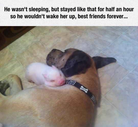 They%26%238217%3Bre+Best+Friends