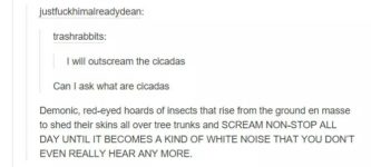 Outscream+the+cicadas