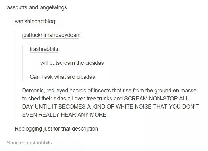 Outscream+the+cicadas