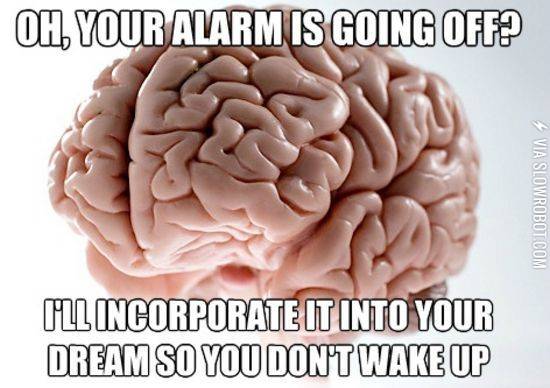 Scumbag+brain.